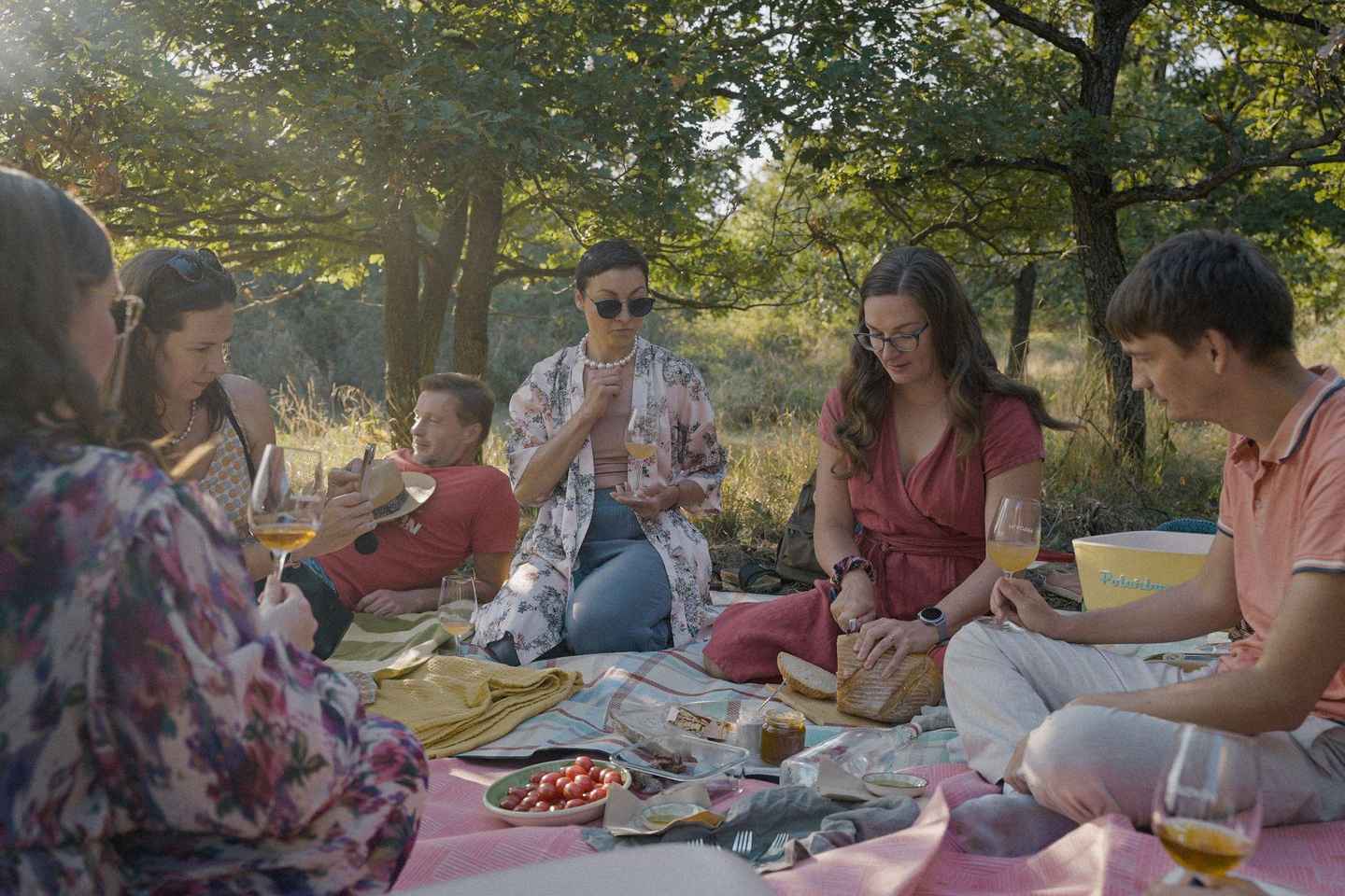 Bratislava: Vineyard Walk and Wine Picnic with Winemaker