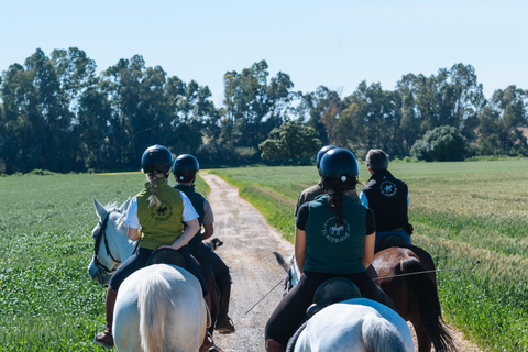 Horseback ride around Doñana National Park Horseback riding around Doñana National Park
