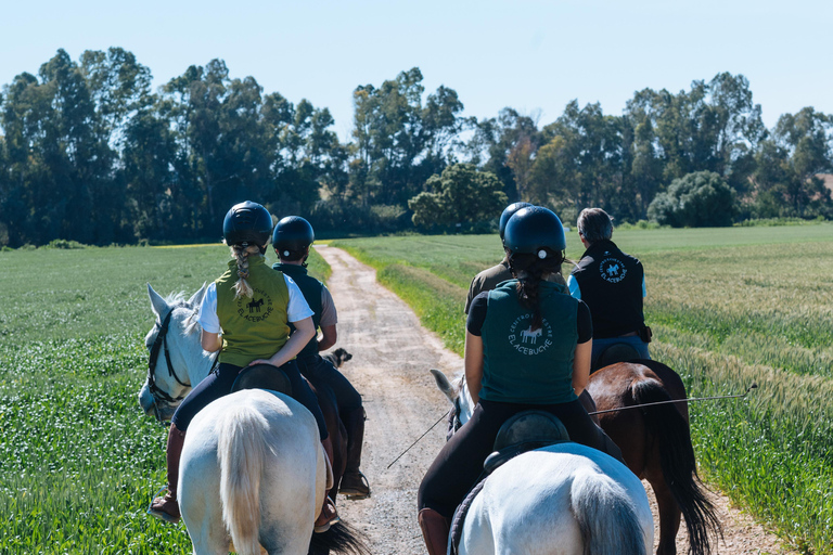 Horseback ride around Doñana National Park Horseback riding around Doñana National Park