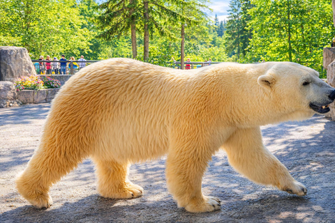 Hokkaido Asahiyama Zoo & Blue Pond Tour & Ningle Terrace 8:00 am meet at Odori Park subway station exit 31
