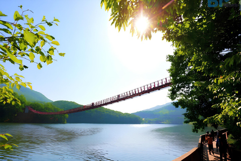 Seoul to DMZ: Waterfall, Hanok Village and Suspension Bridge Basic DMZ Tour (Myeongdong)