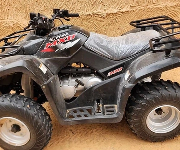 Ksar Ghilane: Quad Adventure, Dune Ride & Roman Fort Visit