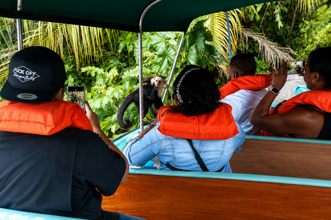 Panama: Monkey Island Sightseeing Tour