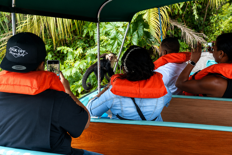 Panama: Monkey Island Sightseeing Tour