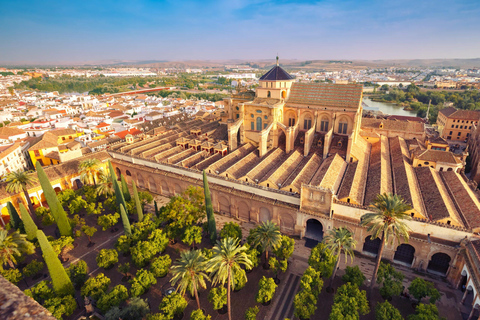 Córdoba Midochtend Wandeling - Kleine Groep, Lekker in NLs!