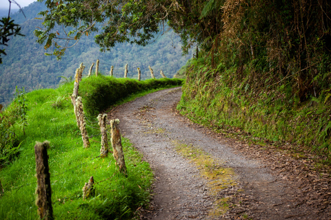 Medellín: Jungle Trekking, Waterfall Swim, & Coffee Tour