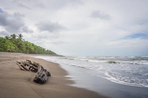 Parque Nacional de Tortuguero: Las mejores cosas que hacer en Tortuguero