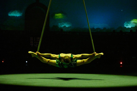 Cirque du Soleil LUDÕ — Vallarta Premium Balcony Experience: Show, Champagne, and Canapés