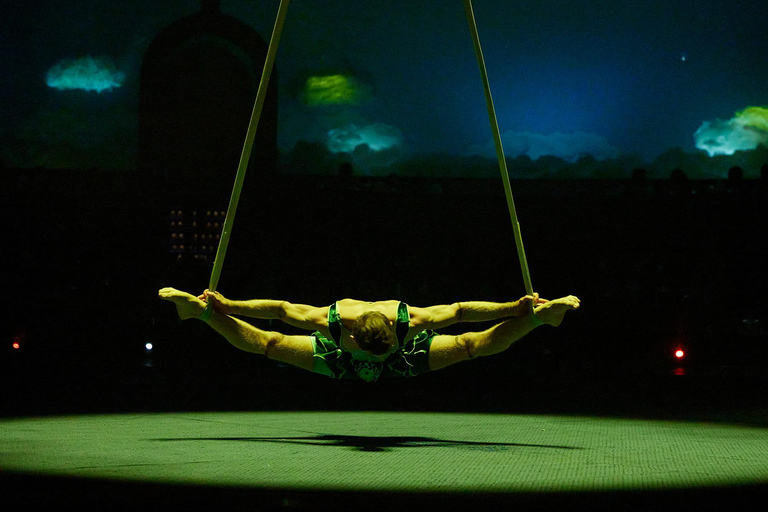 Cirque du Soleil LUDÕ — Vallarta Premium Balcony Experience: Show, Champagne, and Canapés