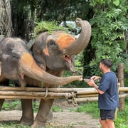 Krabi Elephant Love & Care Krabi Elephant Love & Care