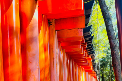 Private Shore Tour:Osaka, Kyoto, Nara, Kobe & Himeji