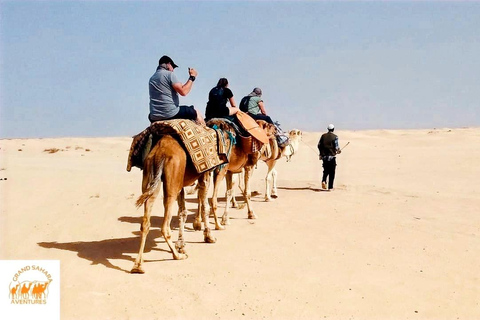 Explore Djerba on a Camel through Palms & Beach