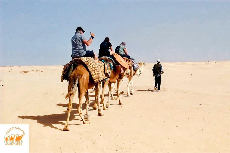 Explore Djerba on a Camel through Palms & Beach