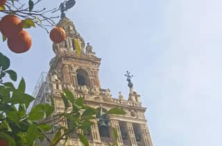 Private Tour mit lokalem Guide: Entdecke das sehenswerte Sevilla