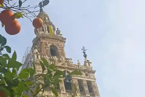 Visite privée avec guide local : découvrez les incontournables de Séville