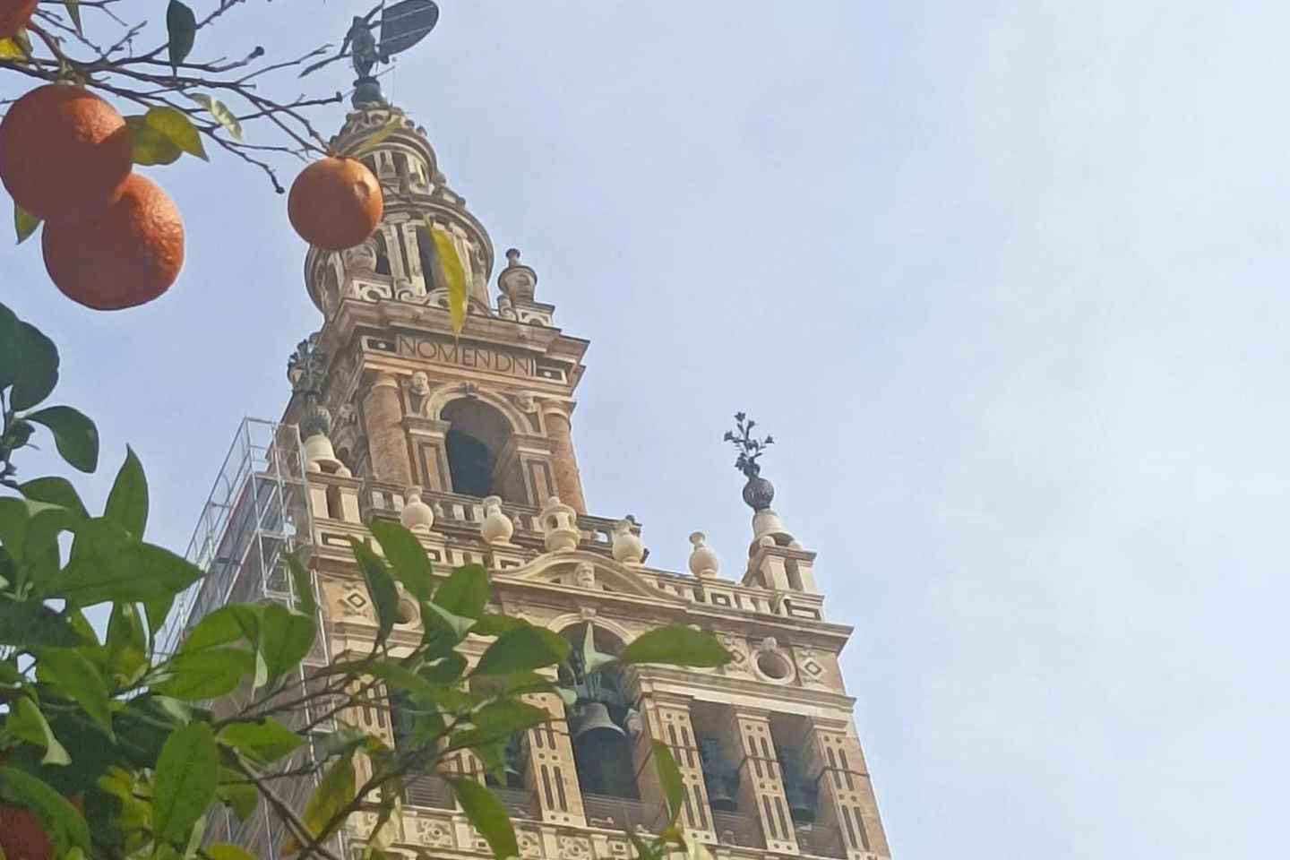 Private Tour with a Local Guide: Discover the Essentials of Seville - Private tour with a local guide: discover Seville's must-see sights