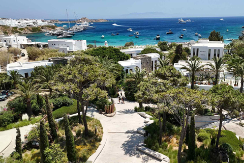 Mykonos: Half-Day Island Tour with Wine Tasting