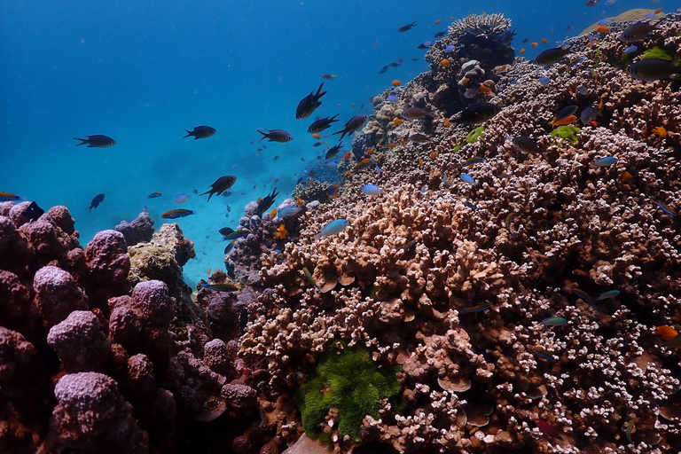 Khao Lak: Excursão Premium às Ilhas Racha com mergulho com snorkel e almoçoDe Khao Lak: passeio de lancha às Ilhas Racha com snorkel