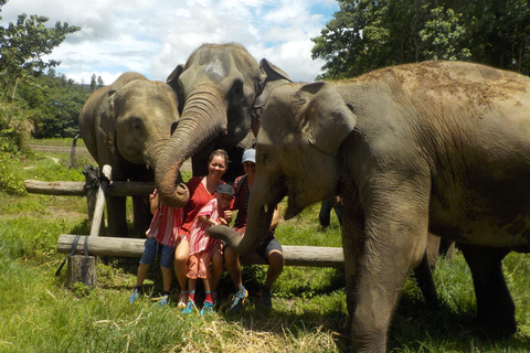 The Must-Do: Authentic Elephant & Village Life in Chiang Mai