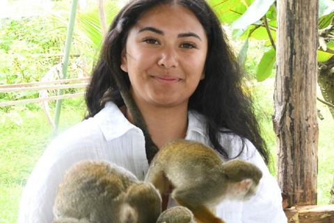 Puerto Plata: Monkey home, Damajagua Waterfalls & City Tour