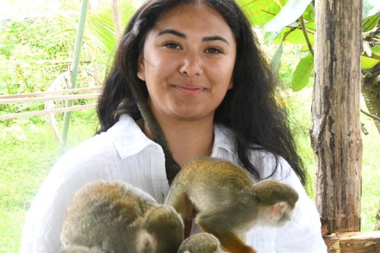 Puerto Plata: Monkey home, Damajagua Waterfalls & City Tour