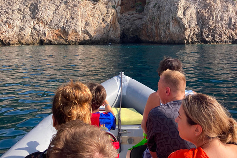 Can Picafort: Dolphin Watching Boat Tour with Swimming&caves Can Picafort: Dolphin Watching Boat Tour with Swimming stop