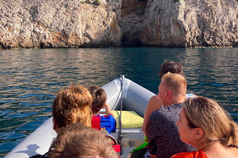 Can Picafort: Dolphin Watching Boat Tour with Swimming&caves Can Picafort: Dolphin Watching Boat Tour with Swimming stop