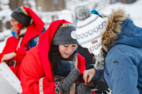 Levi：Arcandia，精灵法庭/日光和公园/黑暗精灵法庭：3 小时体验和公园之旅