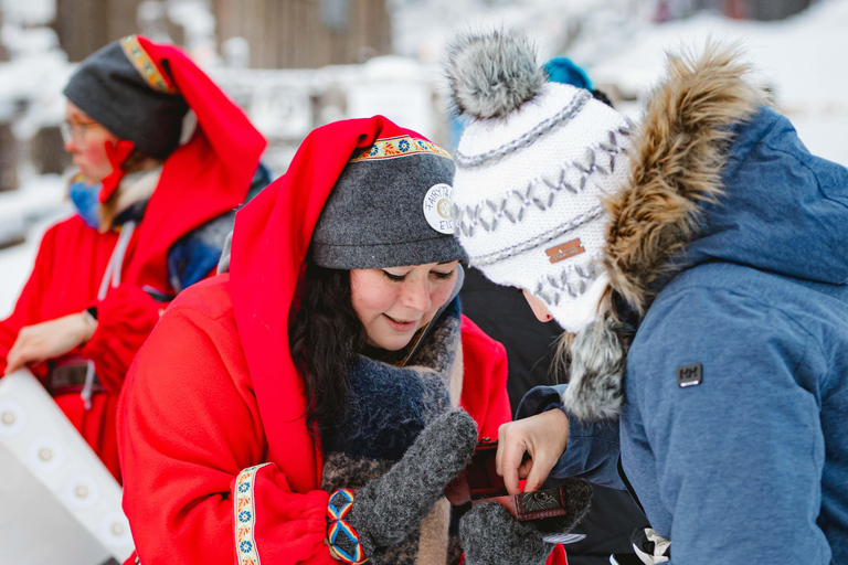 Levi：Arcandia，精灵法庭/日光和公园/黑暗精灵法庭：3 小时体验和公园之旅