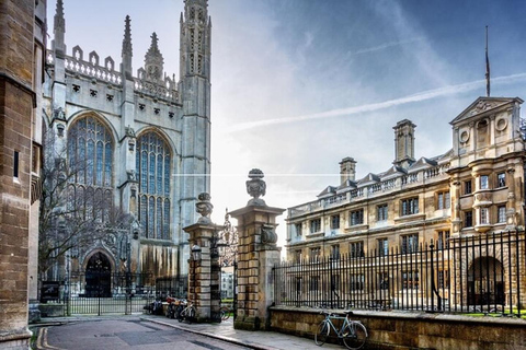 Cambridge: Passeio turístico a pé com um guia localCambridge: 3 horas de passeio turístico a pé