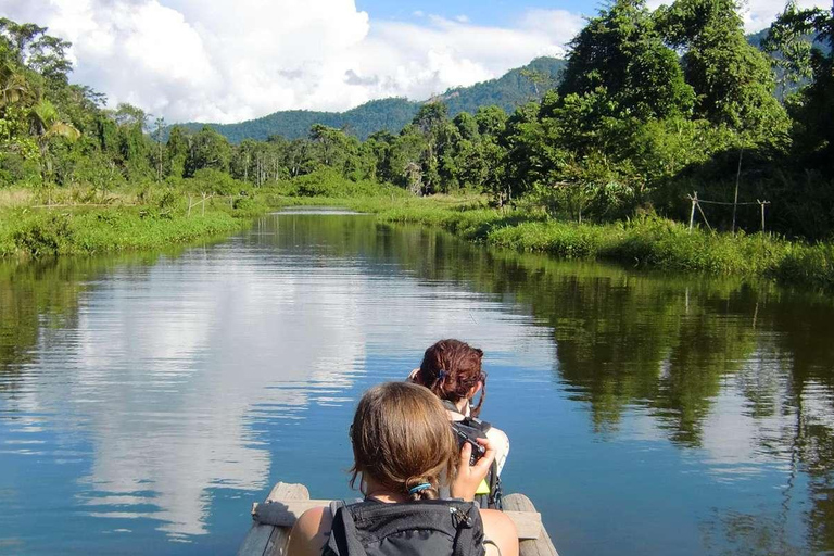 Manu National Park from Cusco