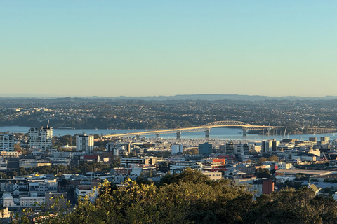 Auckland Sunrise Tour: Mount Eden Summit & Morning Views