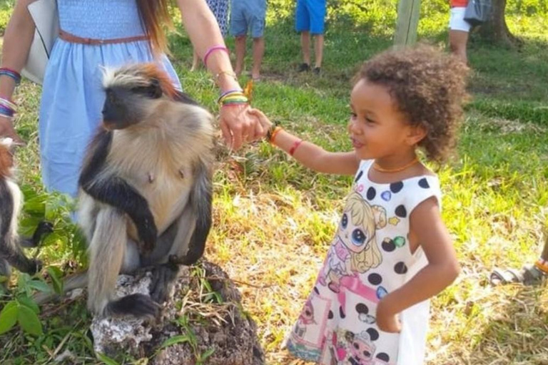 Zanzibar: Visita guiada ao Parque Nacional da Floresta Jozani