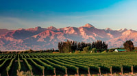 Mendoza- Private Driver With modern Car- Make your Own tour. - Housity