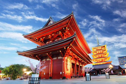 Best of Tokyo: Guided Half Day City Tour with Hotel Pickup