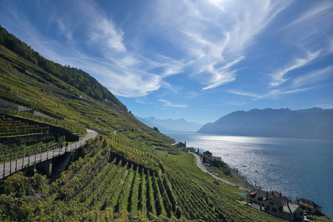 Genf: Gruyères, Lavaux; Wein, Käse, Schokolade – Tagestour