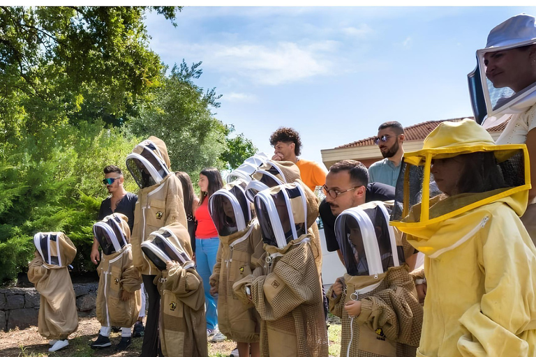 Zafferana Etnea:Honey extraction workshop and honey tasting Tour for 2 people