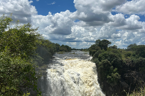 Victoria Falls: Guided Tour with Township & Market Visit