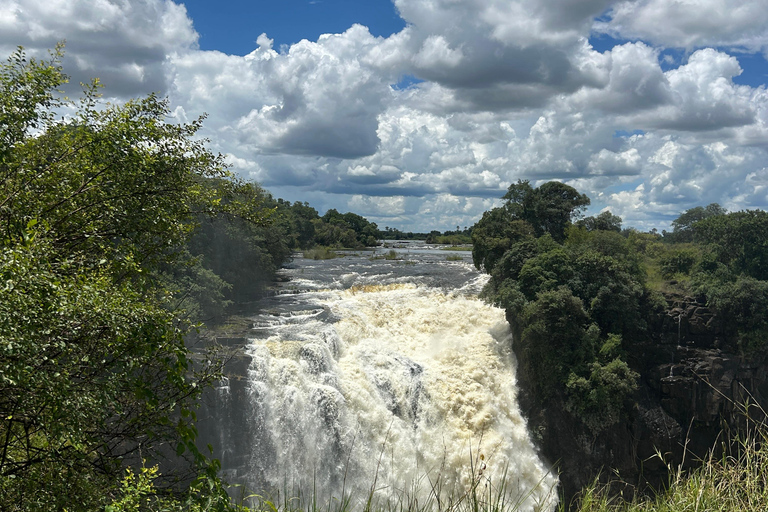 Victoria Falls: Guided Tour with Township & Market Visit