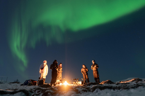 Tromsø: Adult Only Aurora hunt with Citizen Science