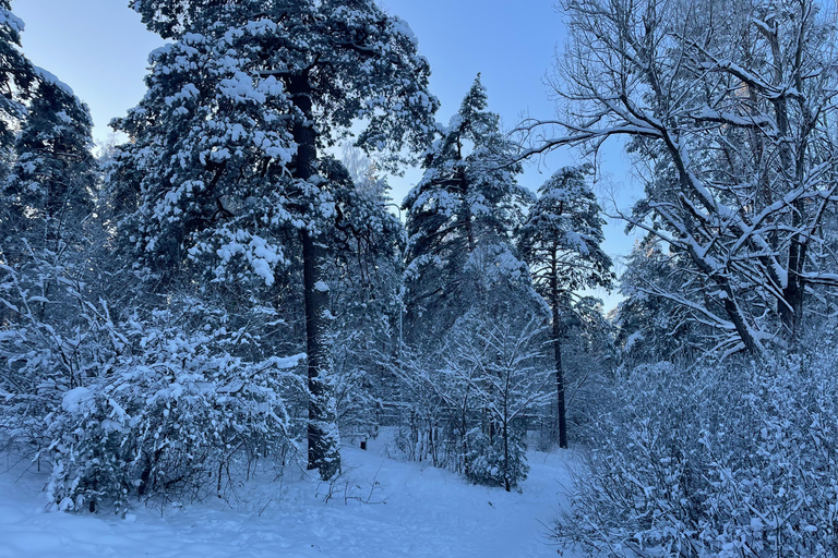 Husky sleeën &amp; Uitzicht op het bos: Onvergetelijk avontuur in Riga