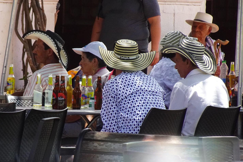 From Medellín: Santa Fé de Antioquia Private Day Trip