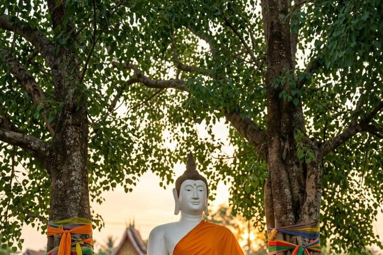 Pakse to Champasak: Mekong Heritage & Local Life Experience Private tour 6-9 pax