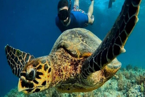 Lombok: 3-Day Honeymoon Package with Gili Islands