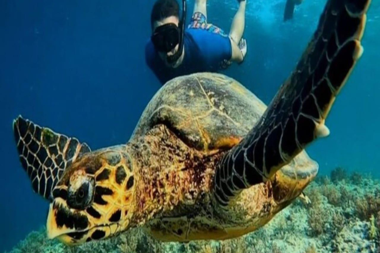 Lombok: 3-Day Honeymoon Package with Gili Islands