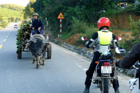 15-dniowa wyprawa motocyklem z północy na południe Wietnamu