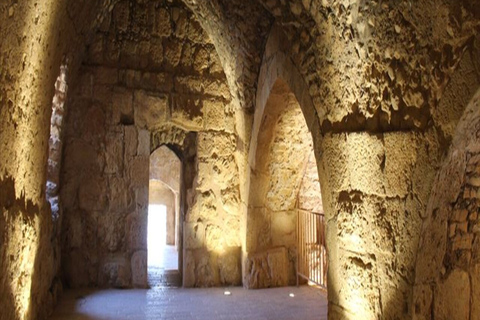 Desde Ammán: Jerash, Castillo de Ajloun Um Qais Visita PrivadaDesde Ammán: Jerash, Castillo de Ajloun Visita Privada