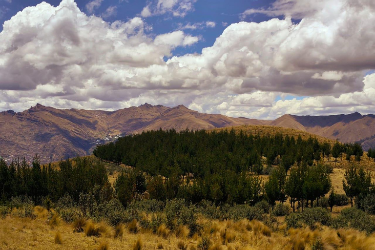 From Cusco: Sunset Llama Trek with Stargazing & Bonfire