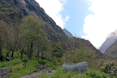 Pokhara: 7-Day Annapurna Base Camp Express Trek