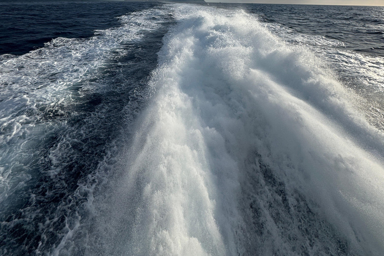 Capri, Amalfi, and Positano Boat Trip with Free Time